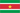 Suriname flag