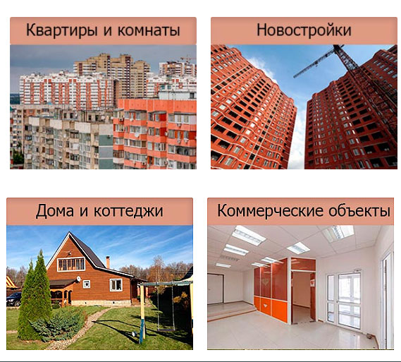 наша деятельность